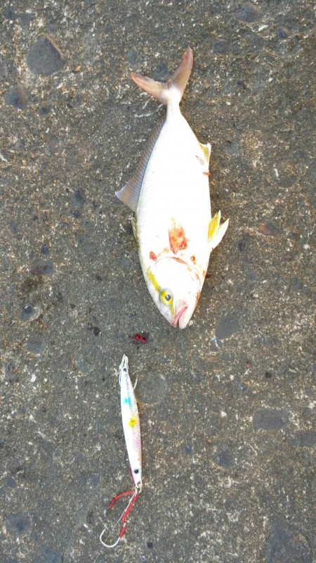 三国突提にて！！