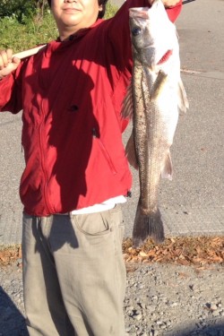 1投目60アップヒット