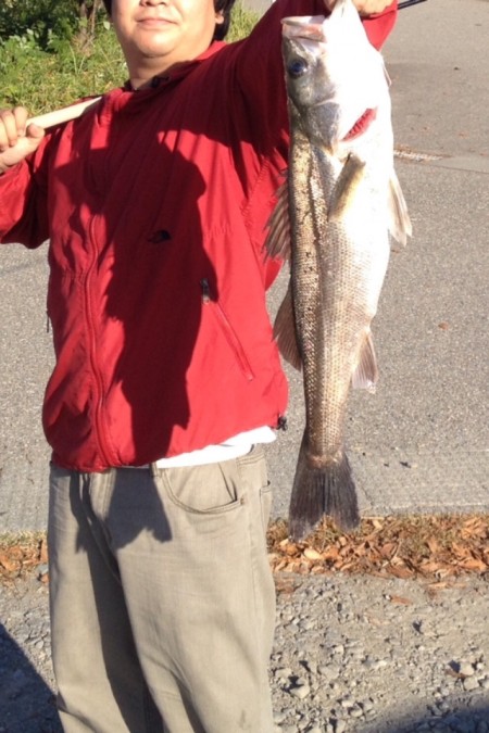 1投目60アップヒット