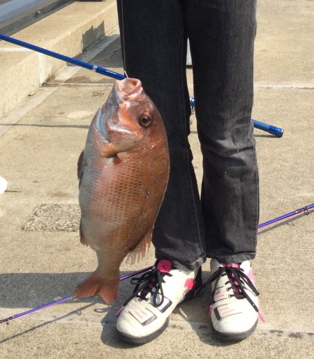 フラットフィッシュを狙うも．．．