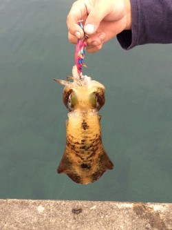 激シブでした･･･