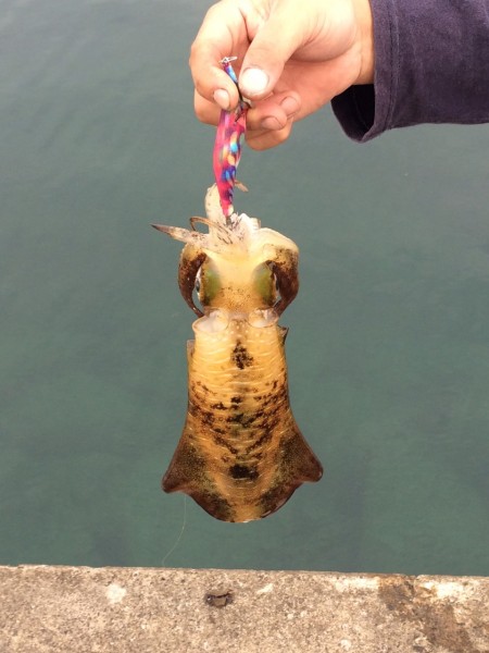 激シブでした･･･