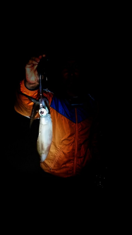 ビギナーズラック(^^)