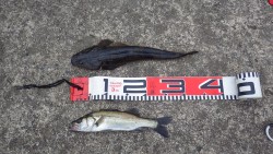 久々の福井遠征