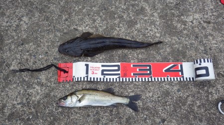 久々の福井遠征