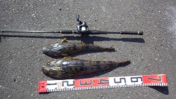 福井遠征その２