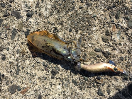 がんばってみたものの…