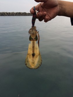 激シブでした･･･