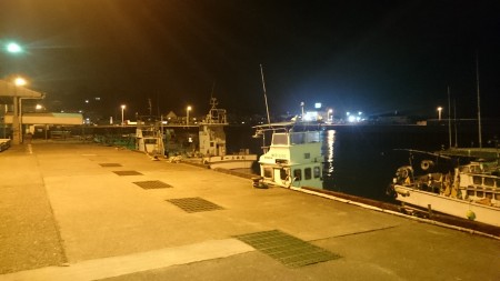 マイクロジグで