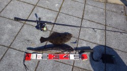 砂物祭り！！！