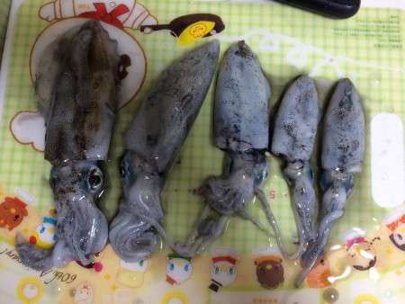 アオリイカも渋いが．．．