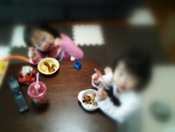 良型カサゴ連発！