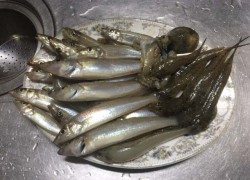 潮が悪るけりゃ〜！！