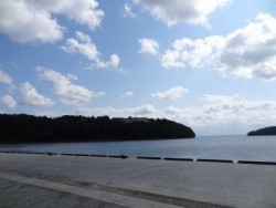 チンタからサイズアップ成功