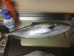 納竿、最後の最後に奇跡