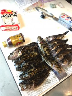 ダウンショットで大当たり！！