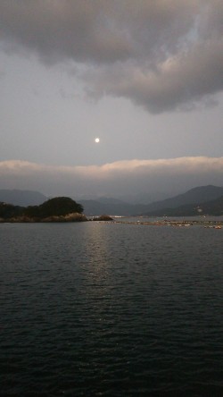 引きは良かったけど