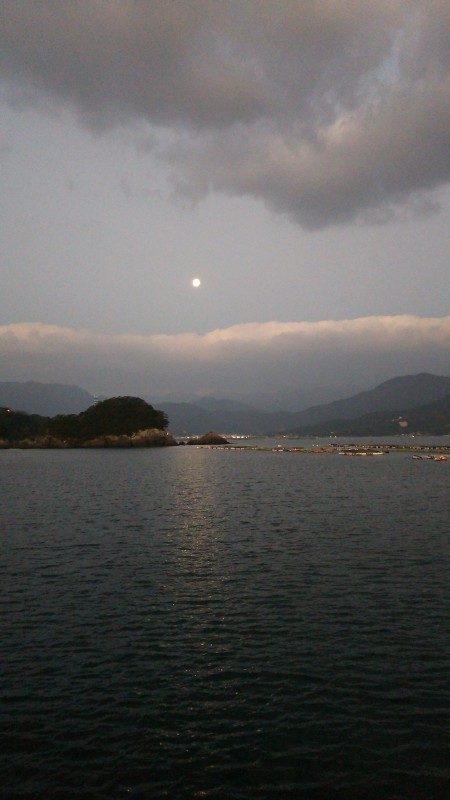 引きは良かったけど