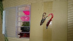 ロックフィッシュハント