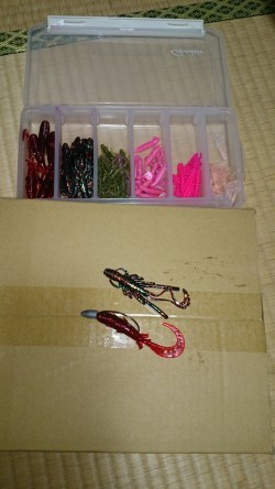 ロックフィッシュハント