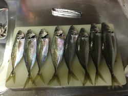 納竿、最後の最後に奇跡