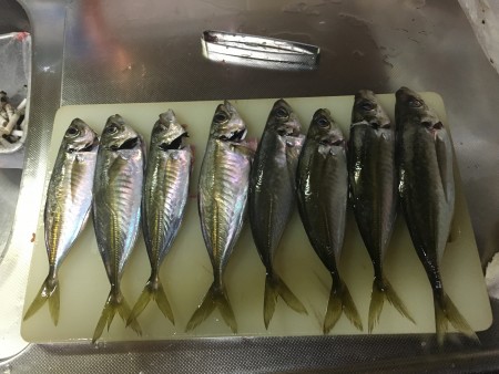 納竿、最後の最後に奇跡