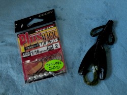 約一年ぶりに常滑