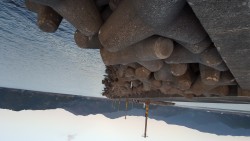 エギングの予定が