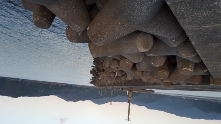 エギングの予定が