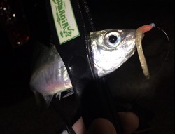 テクニカルアジング