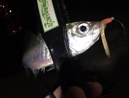 テクニカルアジング