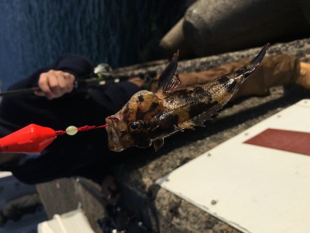 みんなボウズか