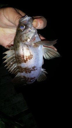 いやされました。