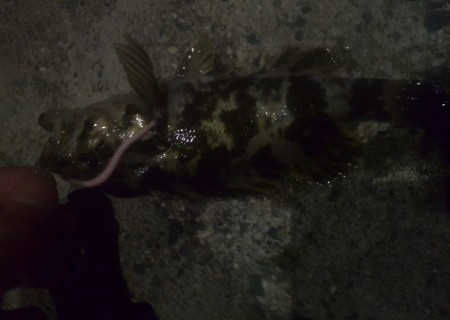 うーんまだまだこれから？