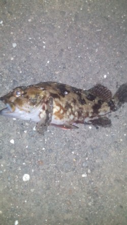 三重県での初釣り