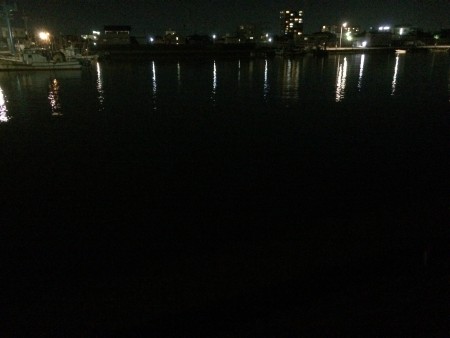 漁港のボイル。