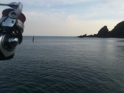 春の越前地磯釣行(*^^*)