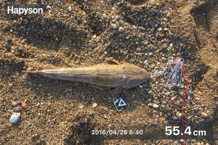 福井遠征２日目