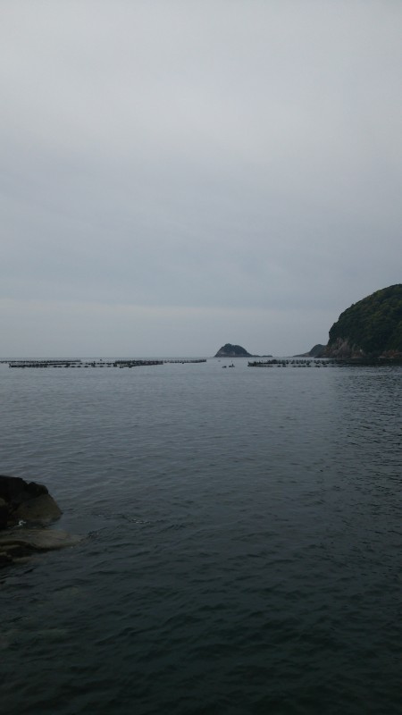 祝！！2016年最大サイズ