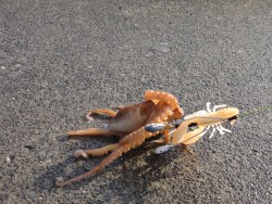 旅行途中にオクトパッシング