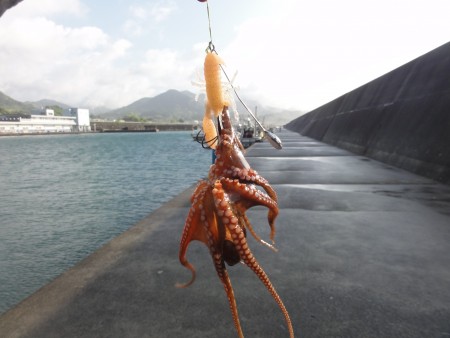 旅行途中にオクトパッシング