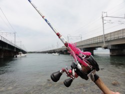 浜名湖オクトパッシング