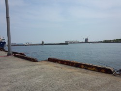 アナゴが釣れました。