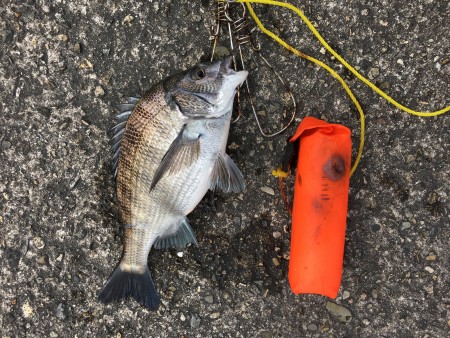 タフコンの中、貴重な1枚