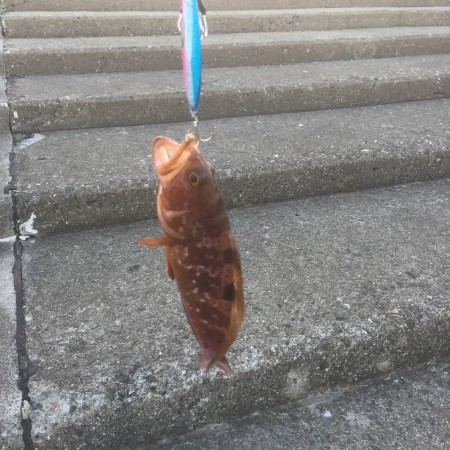 先月の和歌山に続き今月は富山遠征