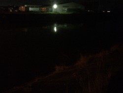 チビに癒しを求めて。