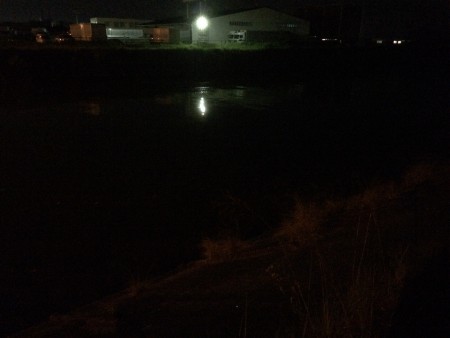 チビに癒しを求めて。