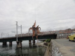 浜名湖オクトパッシング