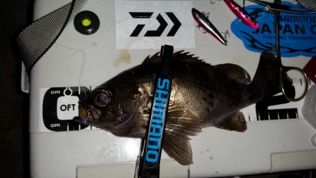 メバリング遠征