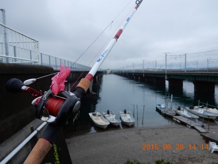 浜名湖シャローゲーム